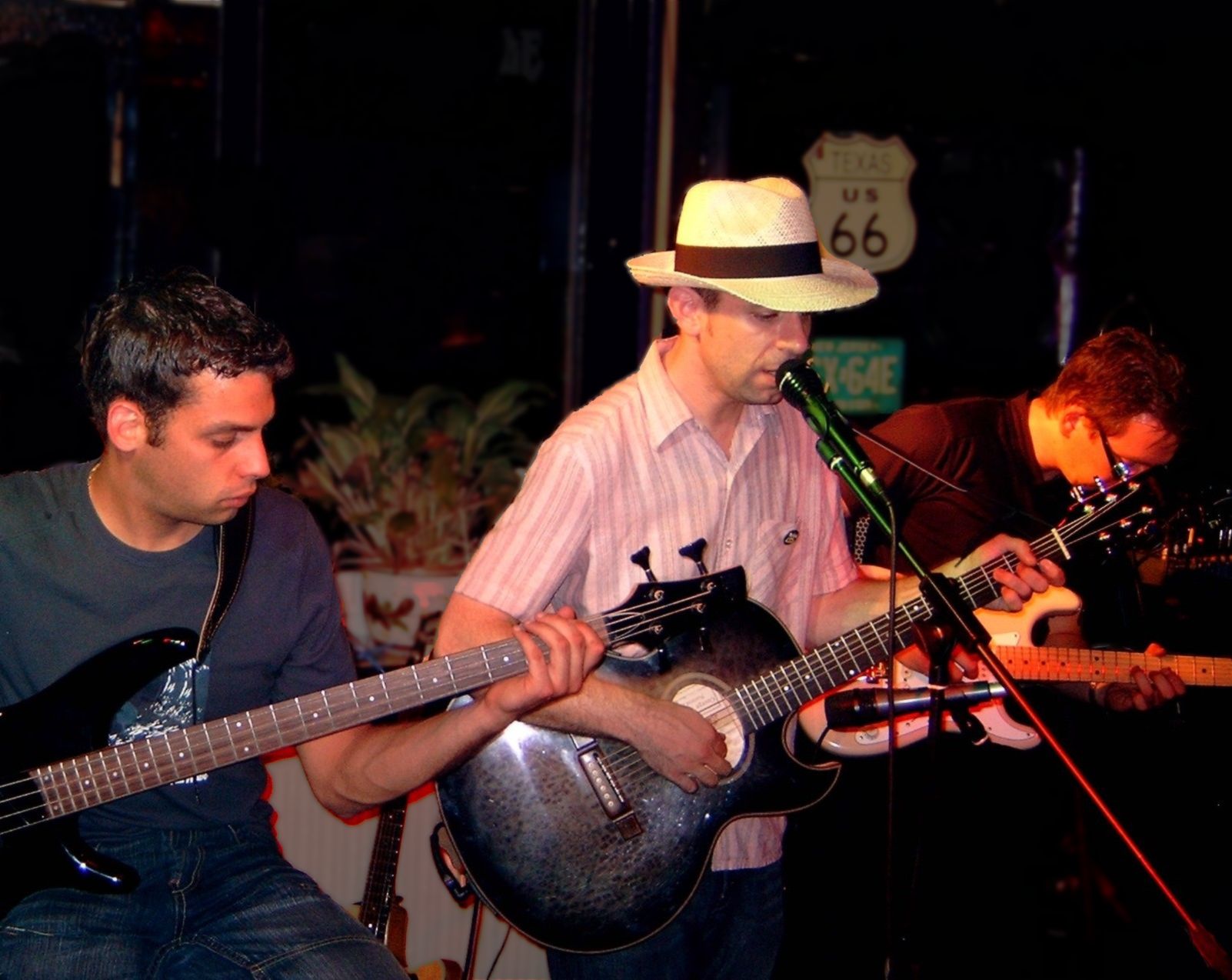 Peter Mendelsohn singt und spielt Bob Dylan - Gig-Foto